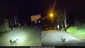 Police said the loyal dog helped the officer find the resident and receives the help they needed