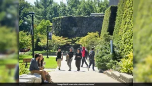 Want To Pursue Research In Canada? University Of Toronto Offers 3 Fellowships