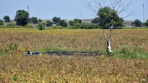 Why it matters: Drought-Hit Maharashtra Farmers To Get Rs 5,000 Aid Before Diwali