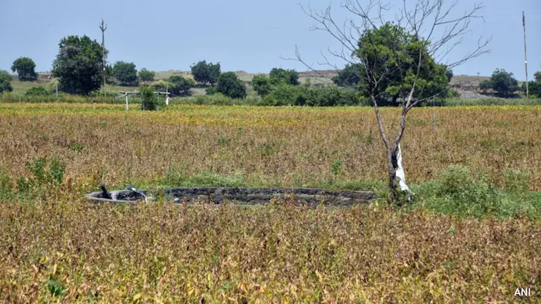 Why it matters: Drought-Hit Maharashtra Farmers To Get Rs 5,000 Aid Before Diwali
