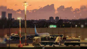 The pilot said the alleged attacker joined flydubai just eight months ago