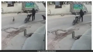 Biker Allegedly Shoots Stray Dog Dead In Lucknow, CCTV Shows Him Firing Rifle