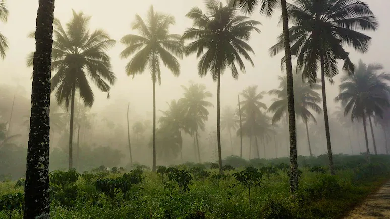 But what happens when El Nino begins to weaken?