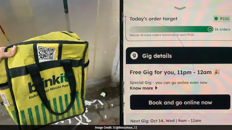 College Student Works As Blinkit Delivery Executive, Reveals His First Day Earnings