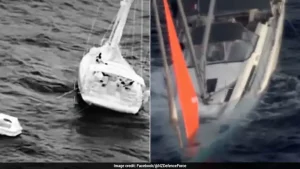 Video: 4 Sailors Survive 17 Hours At Sea After 'Huge' Sperm Whale Sinks Yacht