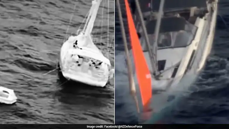 Video: 4 Sailors Survive 17 Hours At Sea After 'Huge' Sperm Whale Sinks Yacht