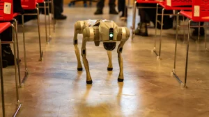 Startup Offering Rs 1,900 Per Hour To Walk Robot Dogs