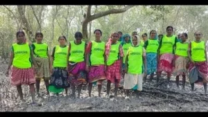How women are protecting Sundarbans forest, one sapling a time — Mangrove Army
