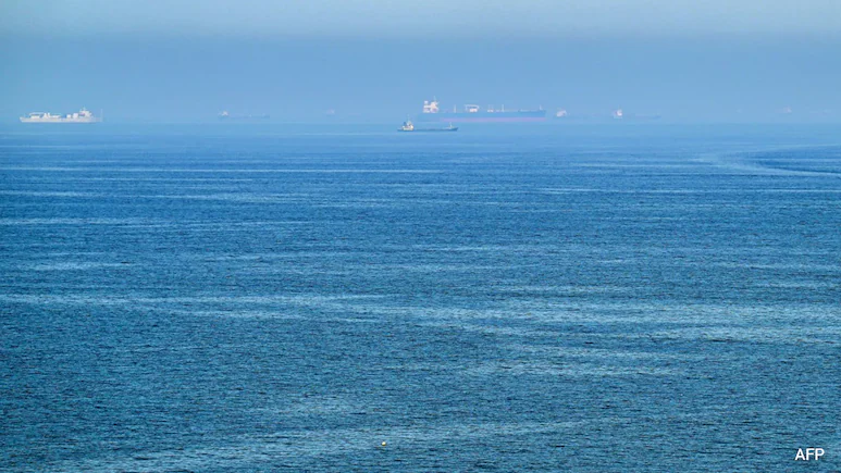 Container Ship Sinks Near Hormuz After Being Hit By Projectile: Report