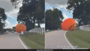 Giant Runaway Pumpkin Breaks Free, Rolls Down Road In US, Video Goes Viral — 'This Is Not AI'