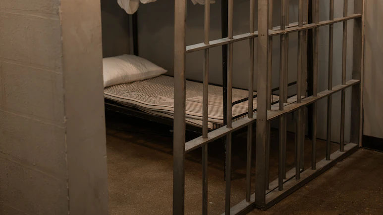 British Teen Admits To Attempting Sexual Act With Pony, confronts Jail